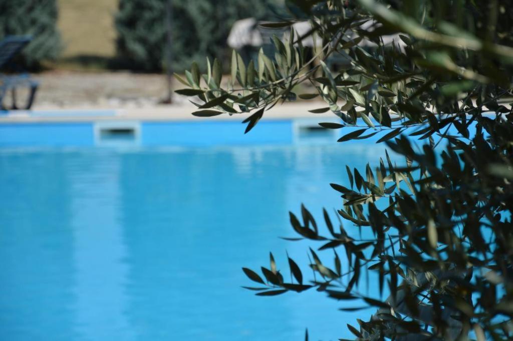 Holiday Home Atena Nova Vas  Exterior foto